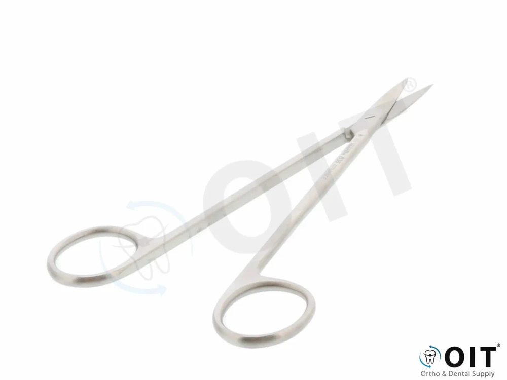 Carl Martin Tandvleesschaar Recht