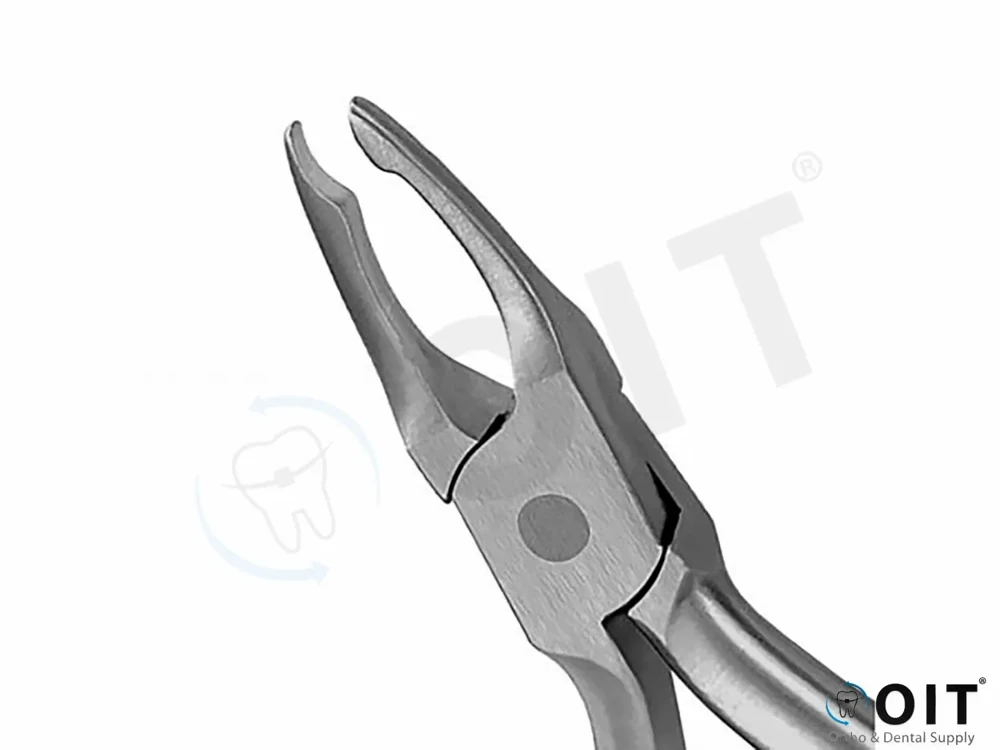 Crown & Band contouring tang