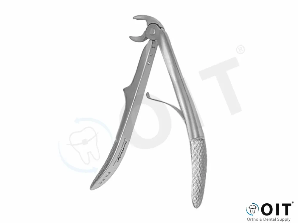 Forceps #2C Europ child  SM 1-2 molar