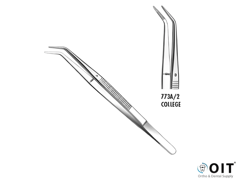 Carl Martin Pincet College